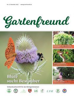 Gartenfreund – November 2023