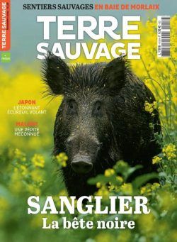 Terre Sauvage – Novembre 2023