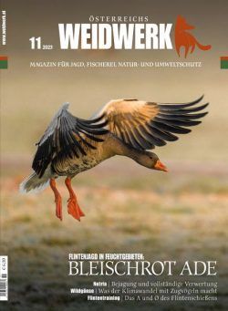 Weidwerk – November 2023