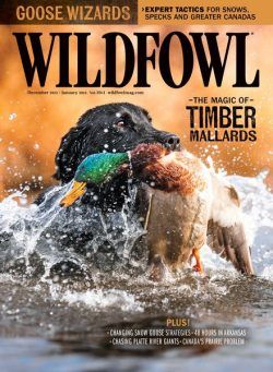 Wildfowl – December 2023 – January 2024