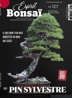 Esprit Bonsai – Decembre 2023 – Janvier 2024