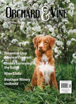 Orchard & Vine – Summer 2023