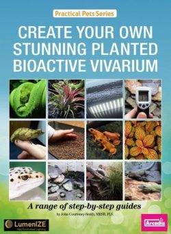 Create Your Own Stunning Planted Bioactive Vivarium – January 2024