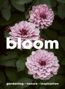 Bloom – Issue 16 – 7 March 2024