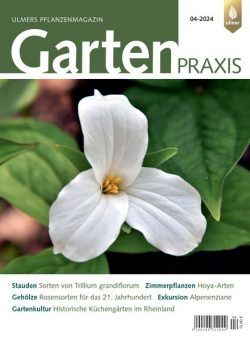 Gartenpraxis – Nr 4 2024