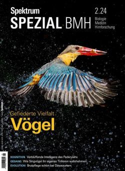 Spektrum Spezial – 19 April 2024