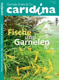 Caridina – April 2024