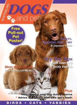 Dogs and Pets – June 2024