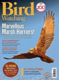 Bird Watching UK – July 2024