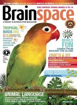 Brainspace – June 2024