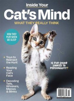 Inside Your Cat’s Mind – 2024