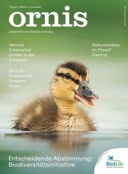 Ornis – Juni 2024