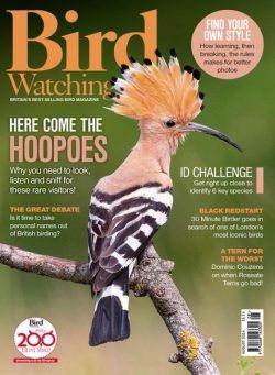 Bird Watching UK – August 2024