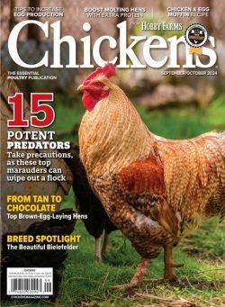 Chickens – September-October 2024