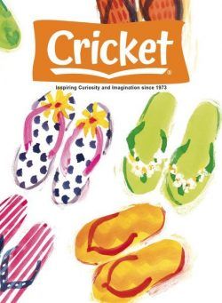 Cricket – July-August 2024