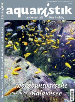 Aquaristik – 13 August 2024