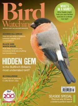 Bird Watching UK – September 2024