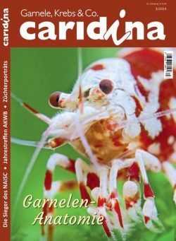 Caridina – 13 August 2024