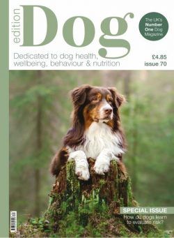 Edition Dog – Issue 70 2024