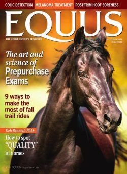 EQUUS – Fall 2024