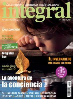 Integral – Agosto 2024