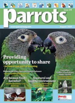 Parrots – August 2024