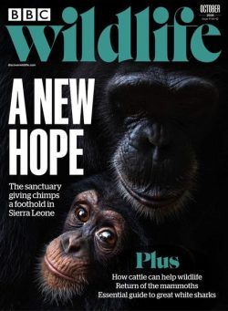 BBC Wildlife – October 2024