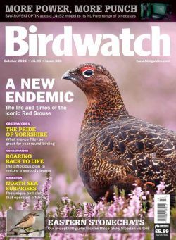 Birdwatch UK – October 2024