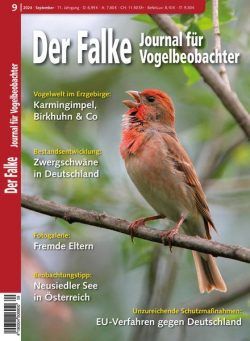 Der Falke Journal fur Vogelbeobachter – September 2024