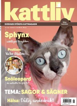 Kattliv – September 2024