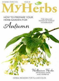 My Herbs – Issue 29 2024