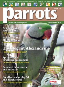 Parrots – September 2024