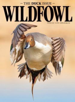 Wildfowl – October 2024