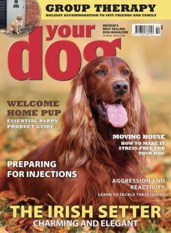 Your Dog – October 2024