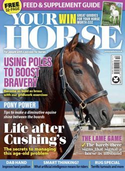 Your Horse – October 2024