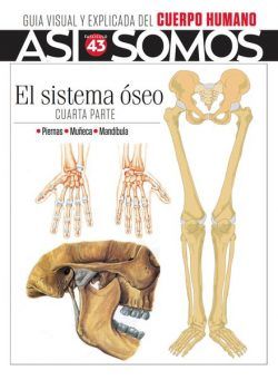 Asi Somos El cuerpo humano – Fasciculo 10 2024