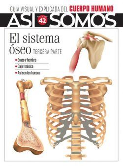 Asi Somos El cuerpo humano – Fasciculo 9 2024