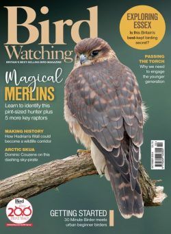 Bird Watching UK – October 2024