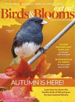 Birds and Blooms Extra – November 2024