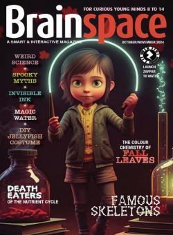 Brainspace – October 2024