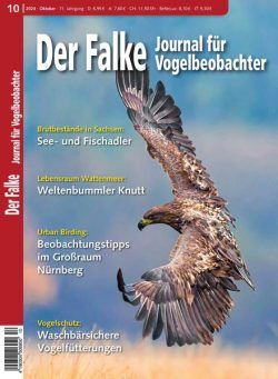 Der Falke Journal fur Vogelbeobachter – Oktober 2024