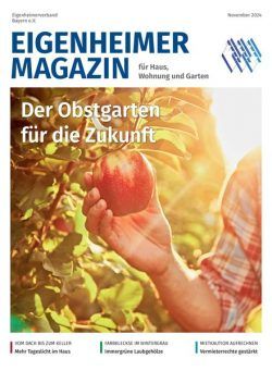 Eigenheimer Magazin – November 2024