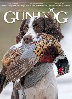 Gun Dog – November 2024