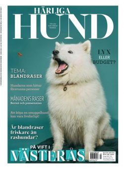 Harliga Hund – Oktober 2024