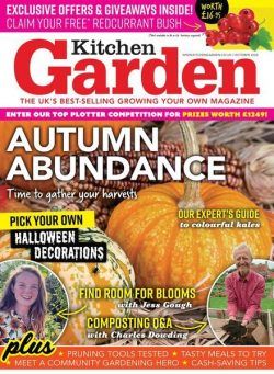 Kitchen Garden – October 2024