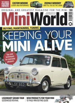 MiniWorld – November 2024