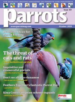 Parrots – October 2024