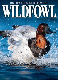 Wildfowl – November 2024