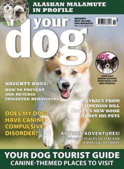 Your Dog – November 2024