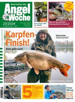 Angel Woche – 25 Oktober 2024